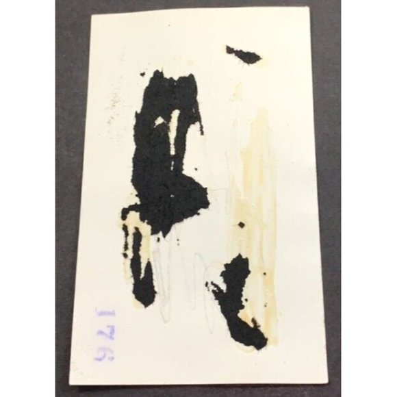 Family in Corn Field Found Photo Tall Corn Stalks 1930s Farming Ag Snapshot - Picture 4 of 6